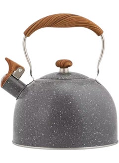 Tea Kettle Stovetop Whistling Kettle Teapot, 1 L Tea Pot Stainless Steel Tea Kettle for Stove Top with Heat Proof Ergonomic Handle
