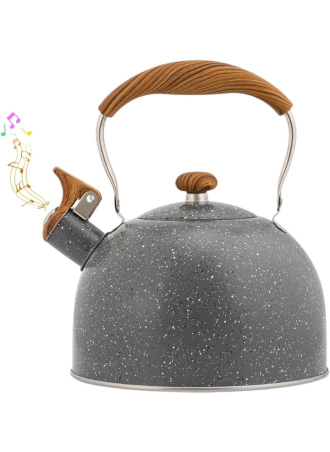 Generic - Tea Kettle Stovetop Whistling Kettle Teapot, 1 L Tea Pot Stainless Steel Tea Kettle for Stove Top with Heat Proof Ergonomic Handle - Image 1