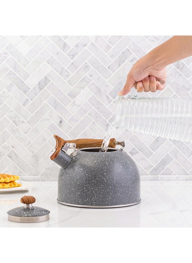 Generic - Tea Kettle Stovetop Whistling Kettle Teapot, 1 L Tea Pot Stainless Steel Tea Kettle for Stove Top with Heat Proof Ergonomic Handle - Image 1