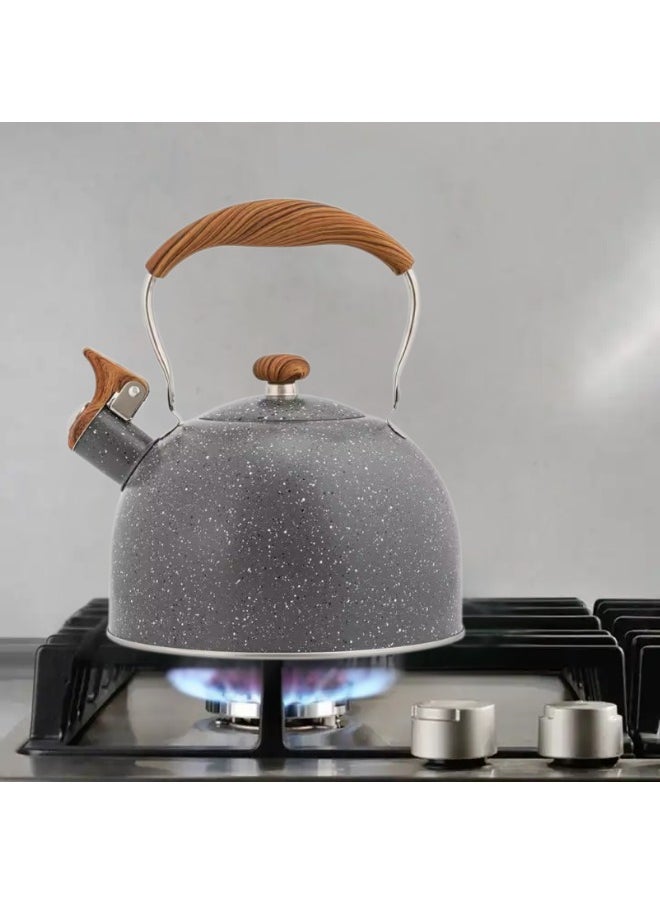 Generic - Tea Kettle Stovetop Whistling Kettle Teapot, 1 L Tea Pot Stainless Steel Tea Kettle for Stove Top with Heat Proof Ergonomic Handle - Image 1