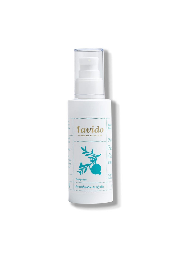 Lavido Lavido  Natural Purifying Facial Cleanser  Clean NonToxic Skincare 4 fl oz 