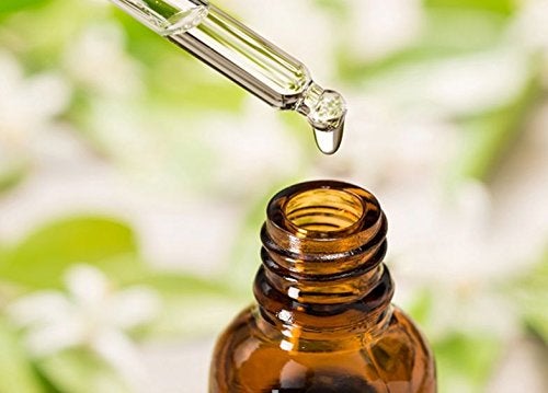 Salvia Prickly Pear Seed (Opuntia Ficus-Indica) Essential Oil 100% Pure, Undiluted and Organic - Natural, Premium Aromatherapy Oil - Therapeutic Grade - 15 ML with Dropper - Image 2