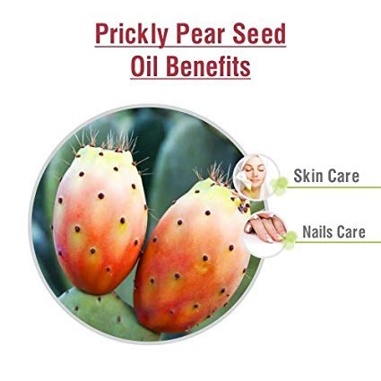 Salvia Prickly Pear Seed (Opuntia Ficus-Indica) Essential Oil 100% Pure, Undiluted and Organic - Natural, Premium Aromatherapy Oil - Therapeutic Grade - 15 ML with Dropper - Image 4