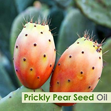 Salvia Prickly Pear Seed (Opuntia Ficus-Indica) Essential Oil 100% Pure, Undiluted and Organic - Natural, Premium Aromatherapy Oil - Therapeutic Grade - 15 ML with Dropper - Image 3