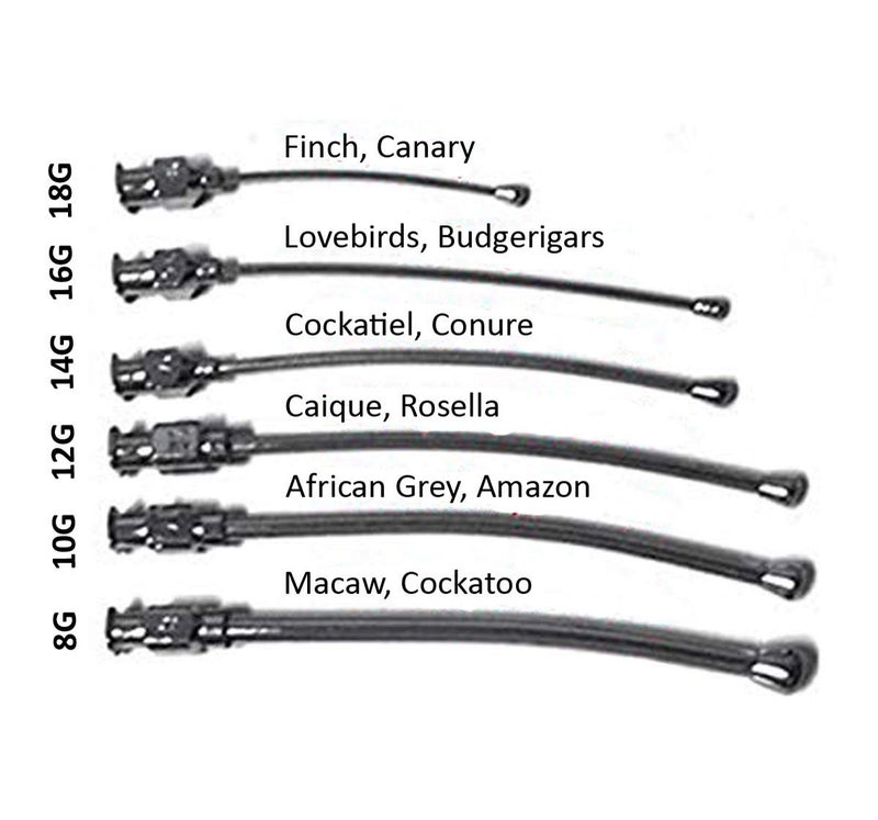 Sage Square Adjustable Hand Feeding Syringe with Full Kit for Birds, Puppy, Kitten, Dog, Cat, Hamster (100ml) - Image 3