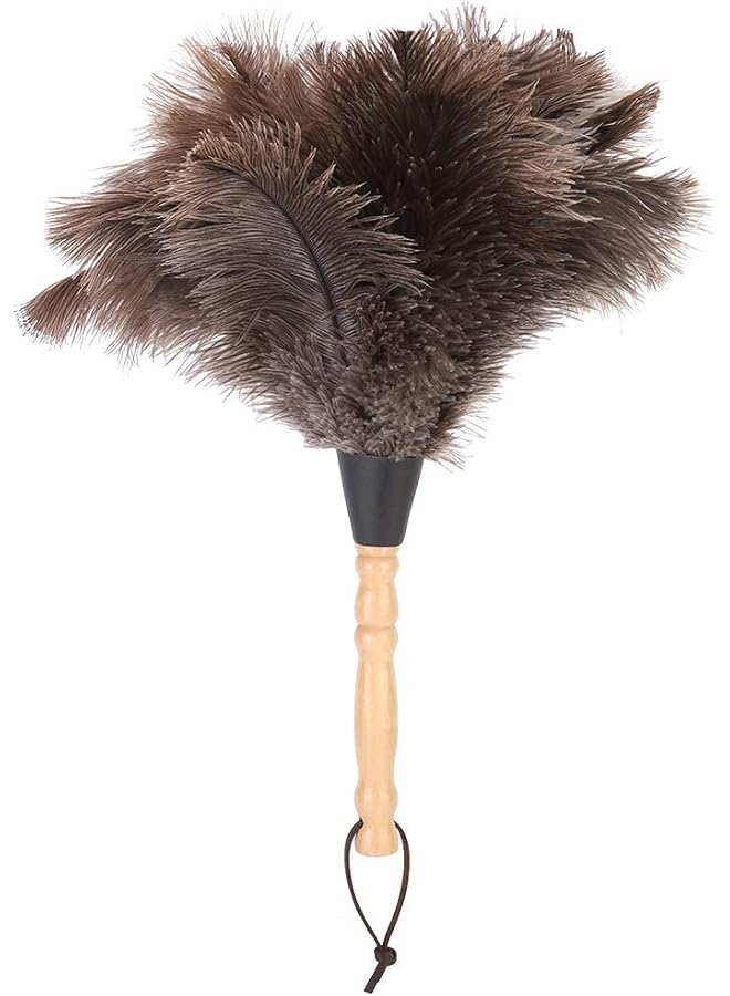 promass Ostrich Duster, Household Duster, Reusable Handheld Cleaning Supplies, Interior Exterior Cleaning Duster with Wood Handle, Duster for Home, Car, Office - Image 1