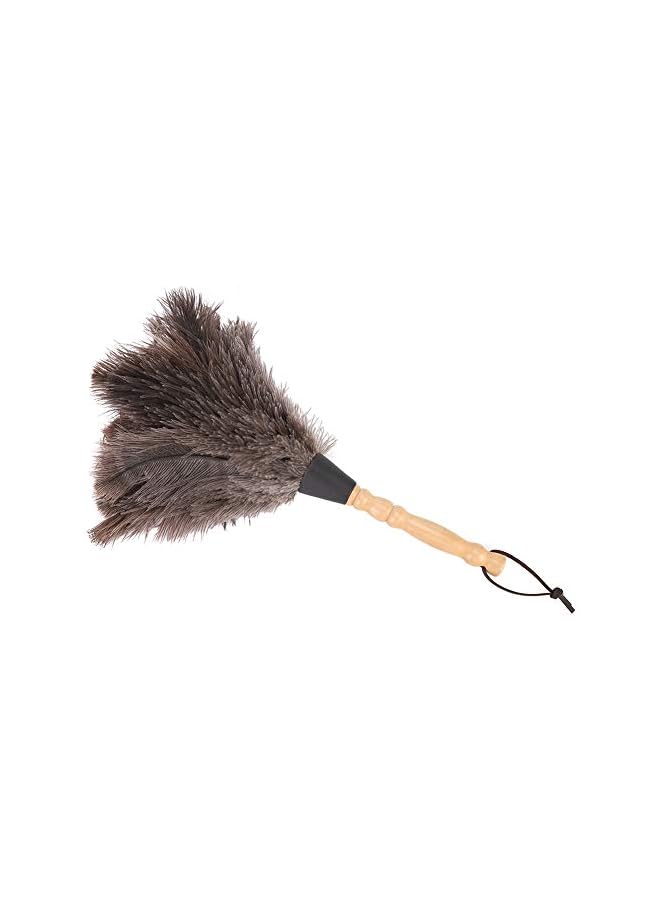 promass Ostrich Duster, Household Duster, Reusable Handheld Cleaning Supplies, Interior Exterior Cleaning Duster with Wood Handle, Duster for Home, Car, Office - Image 4