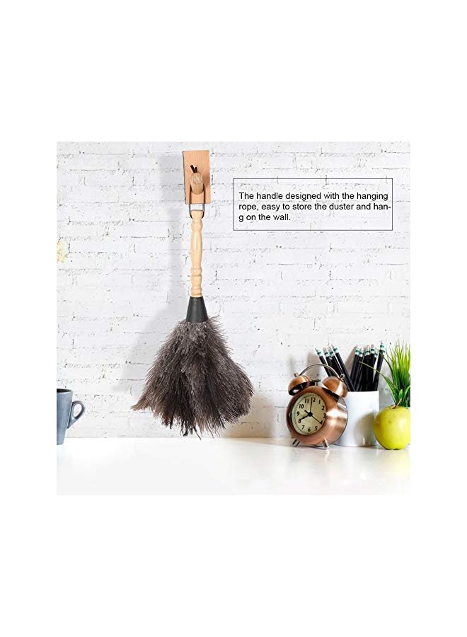 promass Ostrich Duster, Household Duster, Reusable Handheld Cleaning Supplies, Interior Exterior Cleaning Duster with Wood Handle, Duster for Home, Car, Office - Image 2