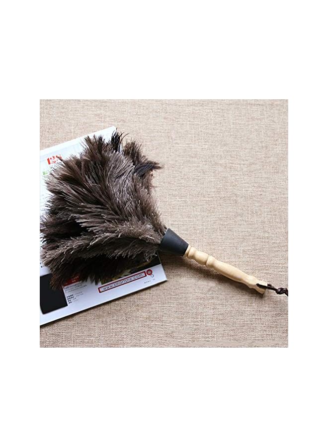 promass Ostrich Duster, Household Duster, Reusable Handheld Cleaning Supplies, Interior Exterior Cleaning Duster with Wood Handle, Duster for Home, Car, Office - Image 5