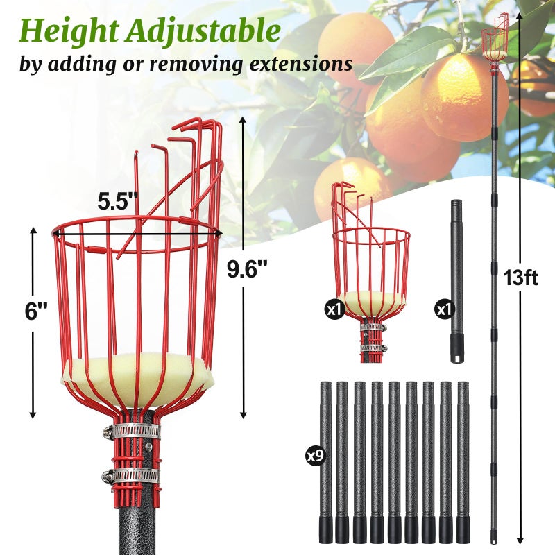 Coconut Fruit Picker, Fruit Picker Pole with Basket Extendable Long Handle, Easy to Assemble & Use Fruits Picker Tool for Orange Lemon Apple Mango Avocado (13FT) - Image 3