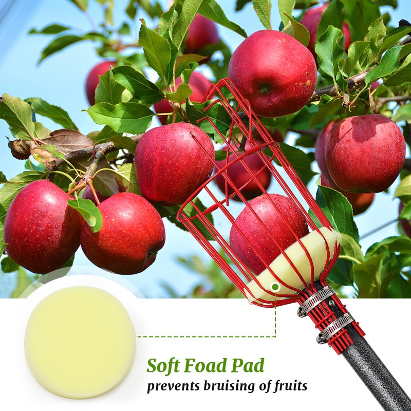 Coconut Fruit Picker, Fruit Picker Pole with Basket Extendable Long Handle, Easy to Assemble & Use Fruits Picker Tool for Orange Lemon Apple Mango Avocado (13FT) - Image 4