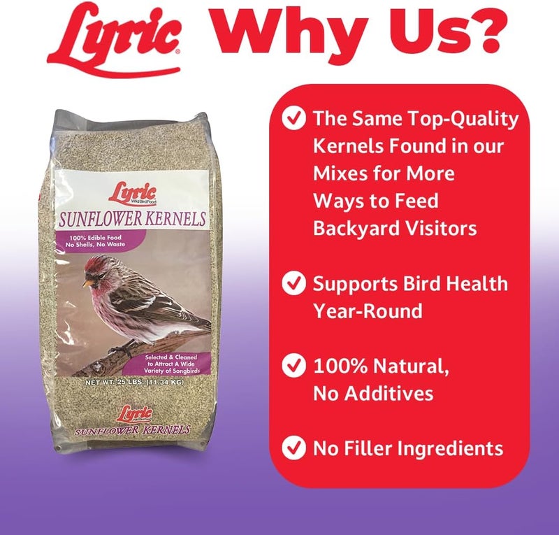 Lyric Sunflower Kernels Wild Bird Seed No Waste Bird Food Attracts Finches & More 5 lb. bag - Image 3