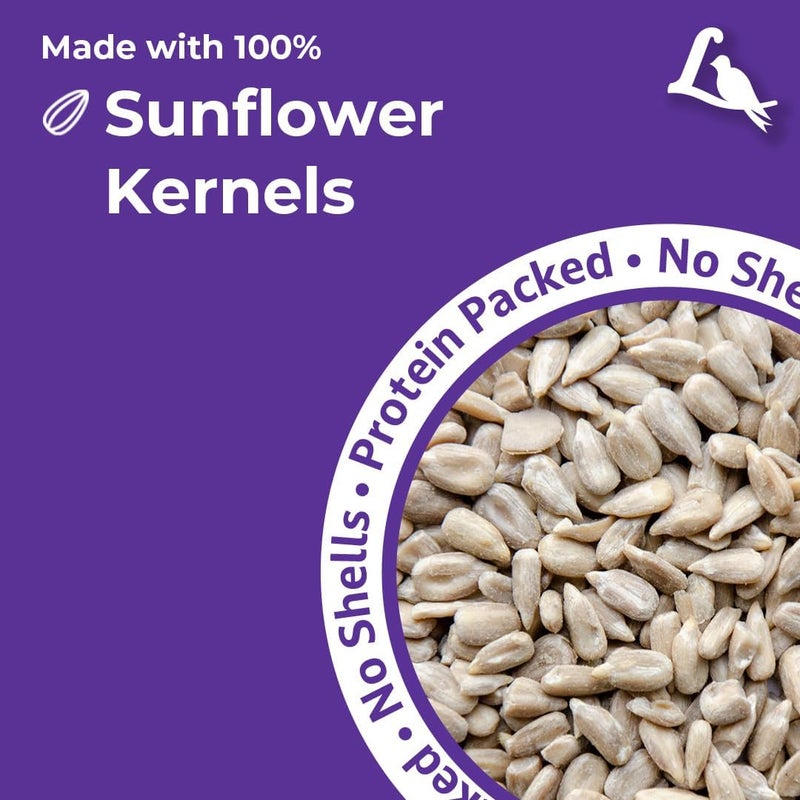 Lyric Sunflower Kernels Wild Bird Seed No Waste Bird Food Attracts Finches & More 5 lb. bag - Image 4