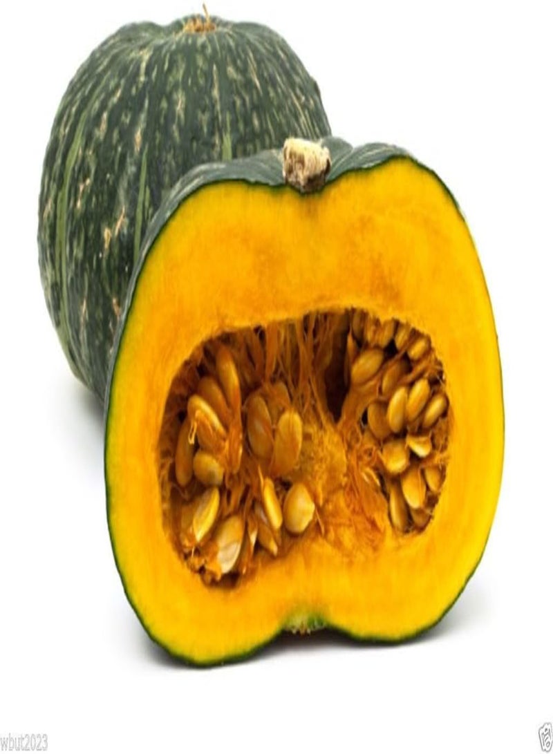 GGOOT Puerto Rican Pumpkin/Calabaza ( 10 Seeds) - Open pollinated, heirloom - Image 1