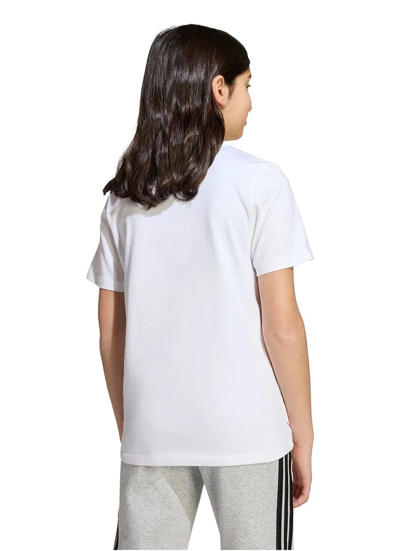 Adidas Youth Winter Sports Graphic T-Shirt