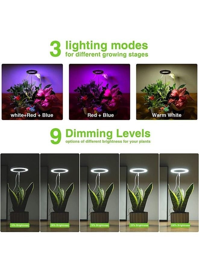 Generic Plant Full Spectrum Grow Lights for Indoor Plants with Stand Height Adjustable Auto Timer 9 Dimmable Levels Red Blue White  - Image 4