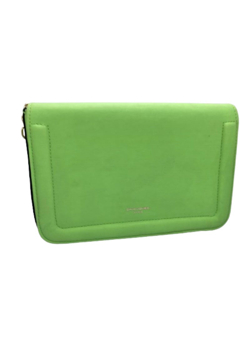 David Jones - Luxury women's leather bag in mint green color with a golden metal handle from David Jones - Image 1