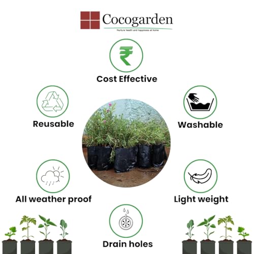 cocogarden Plastic UV Protected Poly Grow Bag for Seedling Nursery Cover Plant Bags (Black, 4 x 6 inch) - Pack of 100 | for Terrace and Balcony Gardening, Kitchen Vegetable and Flowering Plants - Image 3