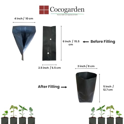 cocogarden Plastic UV Protected Poly Grow Bag for Seedling Nursery Cover Plant Bags (Black, 4 x 6 inch) - Pack of 100 | for Terrace and Balcony Gardening, Kitchen Vegetable and Flowering Plants - Image 2