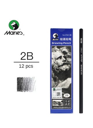 12-Piece 2B 4B 6B Sketch Pencil Set - pzsku/Z7F991234B5B96B6CB598Z/45/_/1728150887/f6fc77f7-35c4-49e8-9c7f-eec874614191
