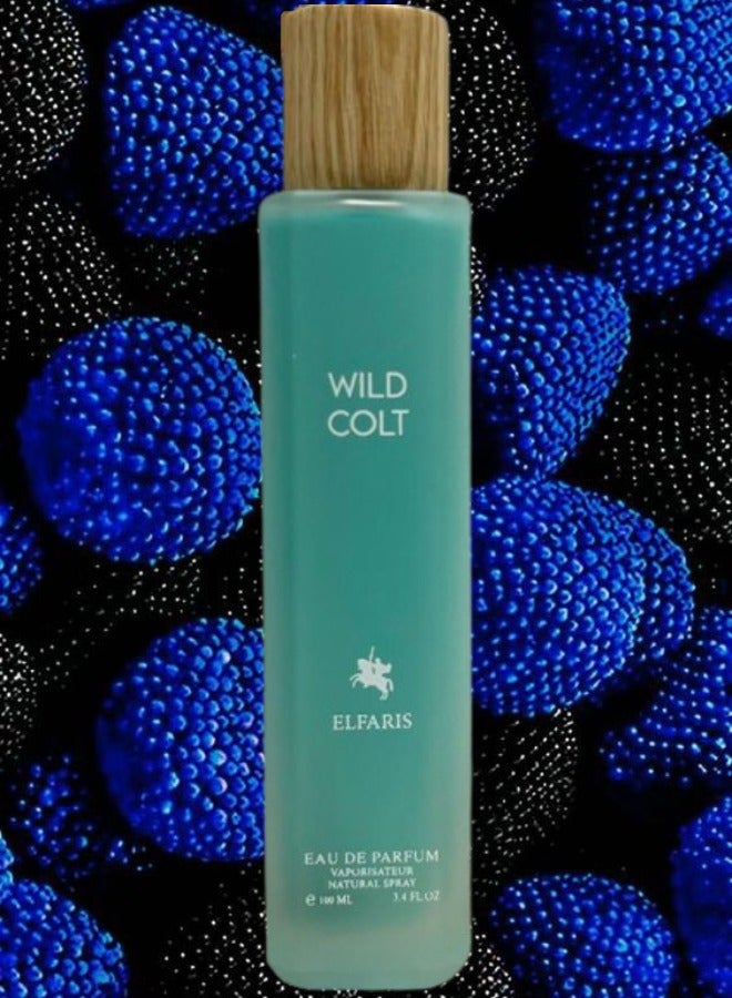 Fares Wild Colt ElFaris EDP 100ML - Image 1