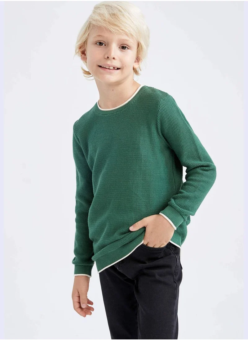 DeFacto Boy Regular Fit Crew Neck Pullover