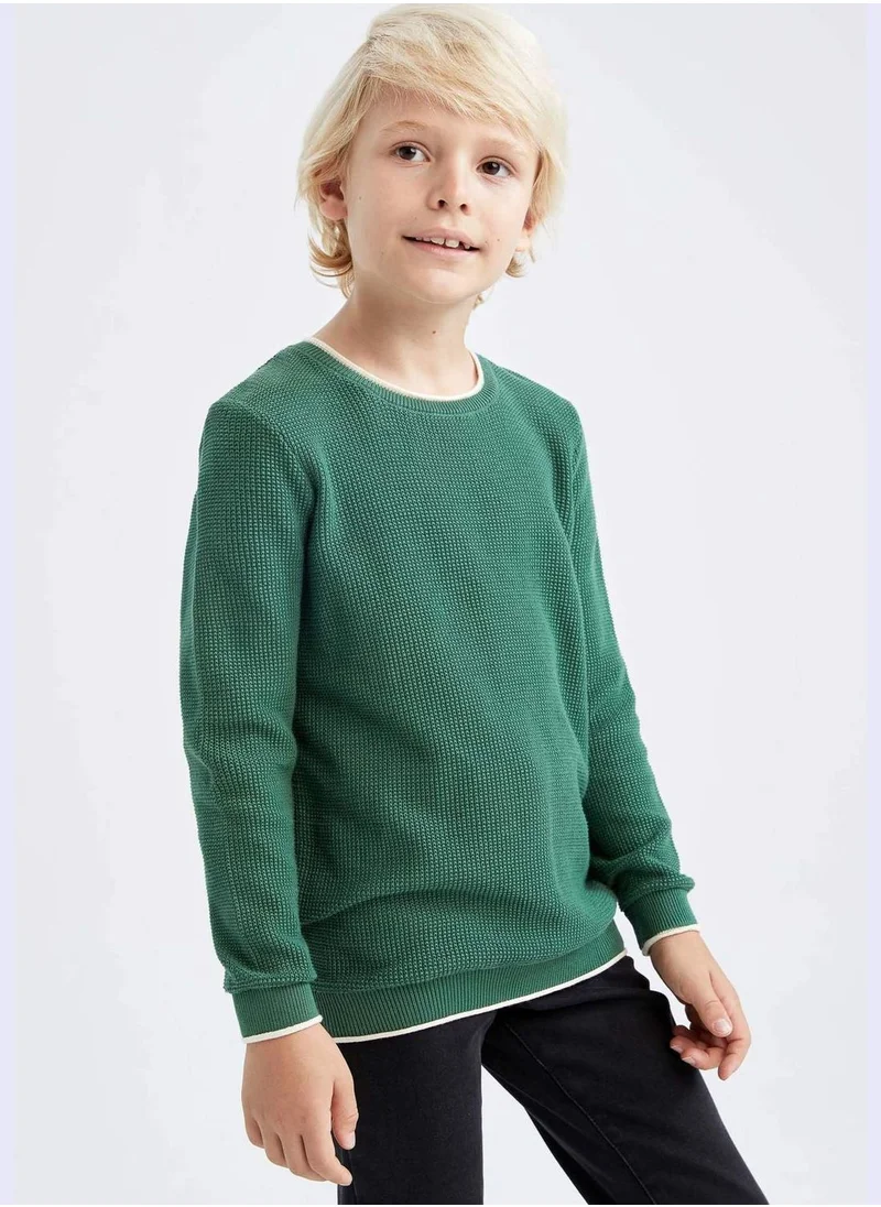 DeFacto Boy Regular Fit Crew Neck Pullover