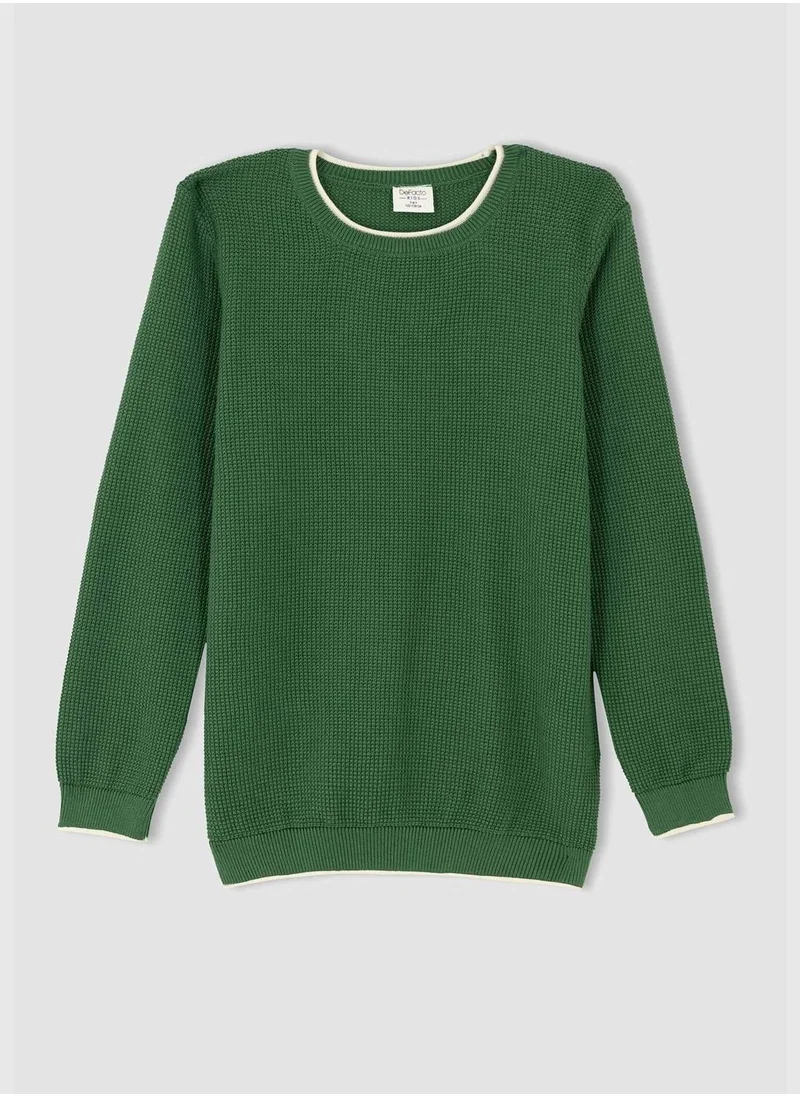 DeFacto Boy Regular Fit Crew Neck Pullover