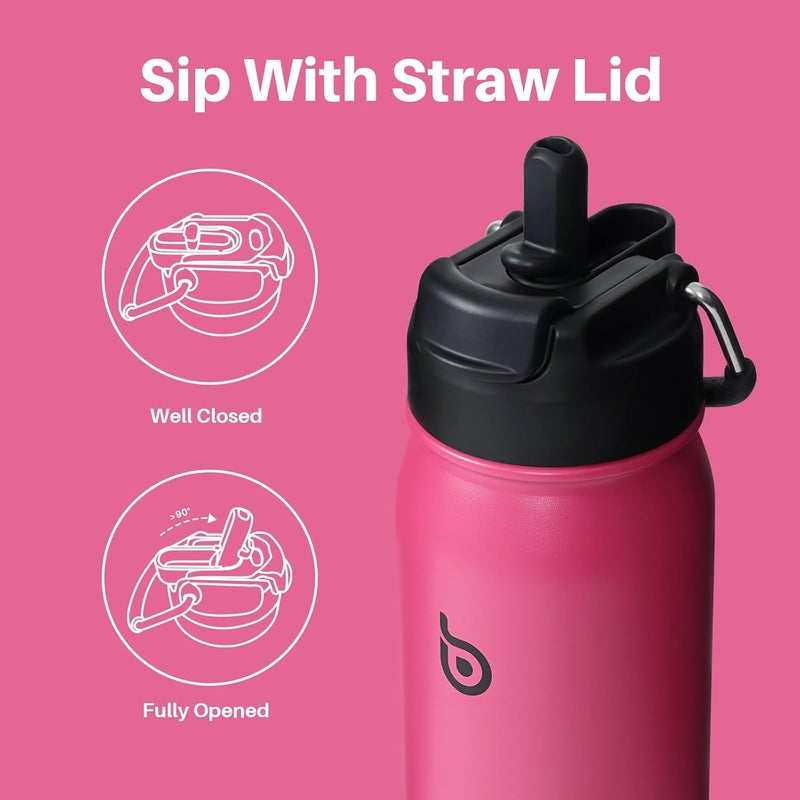 bottle bottle زجاجة زجاجة 16 أونصة من الفولاذ المقاوم للصدأ معزولة زجاجة ماء رياضية مع قشة وحامل حبوب - فيفا ماغينتا - Image 2
