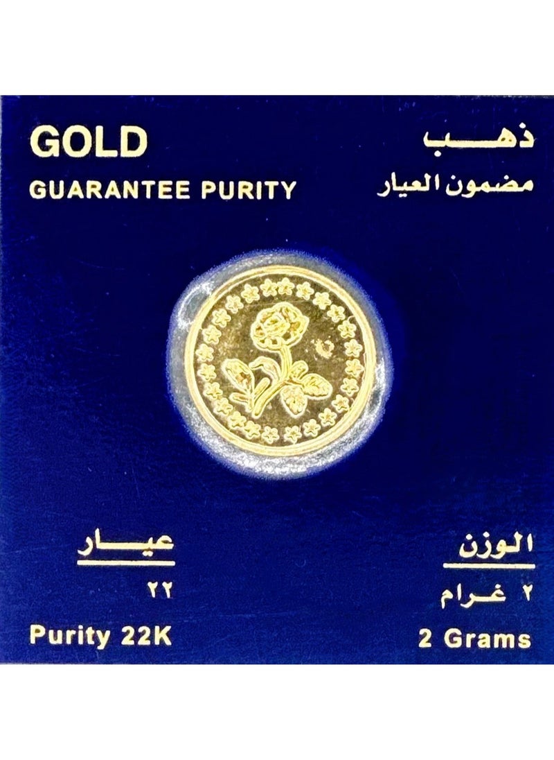 Rizan Jewellery 2GM 22 Karat Gold Coin 22KT - pzsku/Z7F9A268B178B500AE208Z/45/_/1719238478/0e3e61c6-f052-437d-bb87-6655608ed2a4