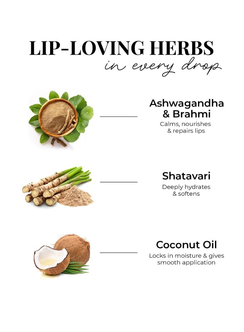 Just Herbs Herb Enriched Matte Liquid Lipstick | Set of 5 | Liquid Lipstick for Women | Nudes & Browns Shade | Hydrating & Lightweight | Ashwagandha & Brahmi - 1ml x 5u - Image 5