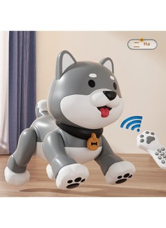 ماركة غير محددة كلب Le Neng K47 الذكي للتحكم عن بعد Chai Dog Stunt التعليم المبكر للكلاب والرقص برمجة استشعار اللمس للأطفال كلب كهربائي أليف - اللون: K47 برمجة حيلة Erha  - Image 1