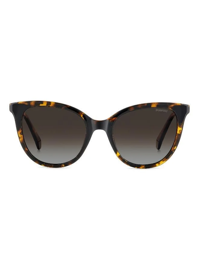 بولارويد نظارة شمسية بإطار عين القطة