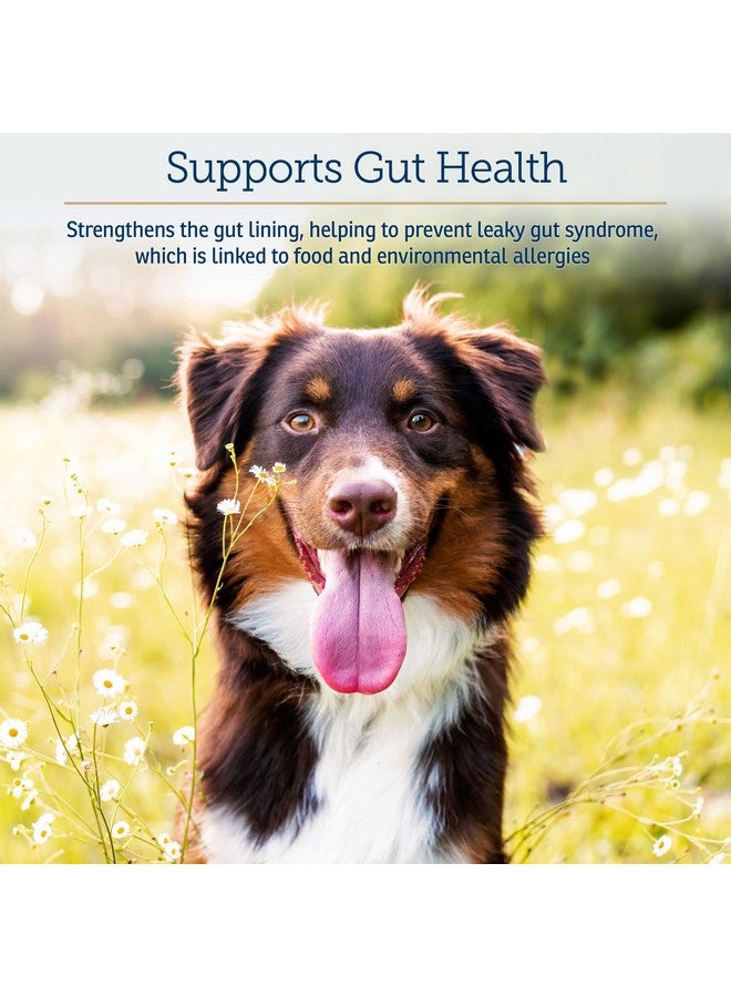 Rx Vitamins Colostrum for Dogs & Cats - Whole Bovine Colostrum Powder - Cat & Dog Supplement Ideal Immune Support, Promotes Digestive Health & Allergy Support - 3.52 oz (100g) - Image 5