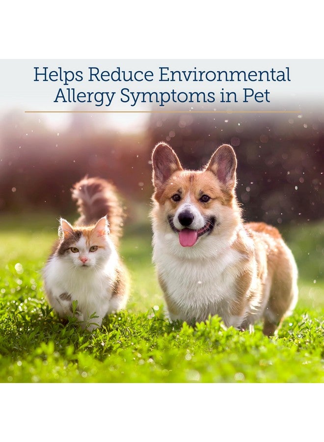 Rx Vitamins Colostrum for Dogs & Cats - Whole Bovine Colostrum Powder - Cat & Dog Supplement Ideal Immune Support, Promotes Digestive Health & Allergy Support - 3.52 oz (100g) - Image 3