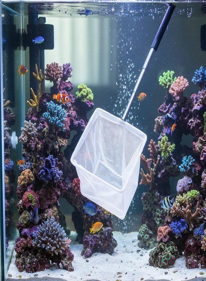 Alrhso Aquarium Fish Net 3 Inch with Extendable Stainless Steel Handle Square Soft Fine Mesh Shrimp Net for Fish Tank, Stream, Pond - Image 4
