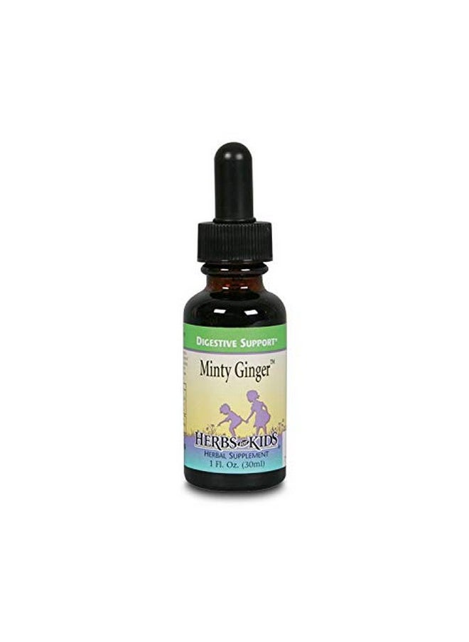 Herbs For Kids Minty Ginger Liquid Unflavored (Btlglass) ; 1Oz  - Image 1