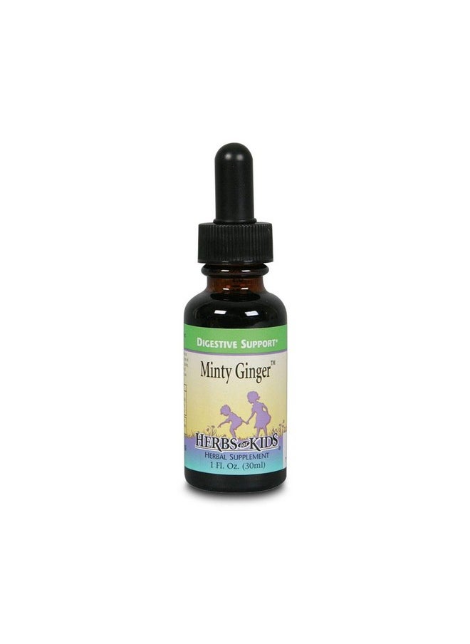 Herbs For Kids Minty Ginger Liquid Unflavored (Btlglass) ; 1Oz  - Image 2