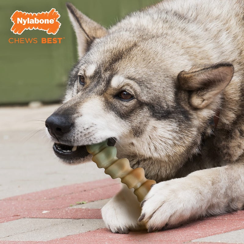 Nylabone Gator Tail Alternative Power Chew Toy for Dogs, Dog Toys for Aggressive Chewers, Chicken Flavor, Large - Up to 50 lbs, 1 Count - Image 5