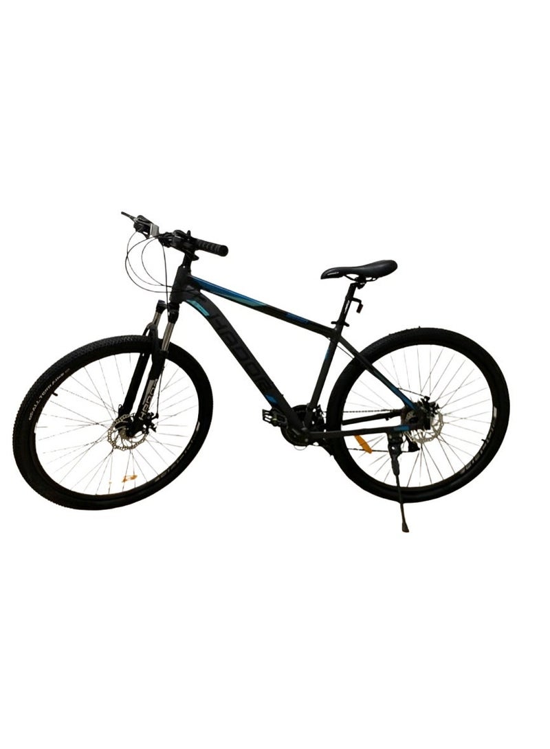 Hador Baison 29 - Image 1