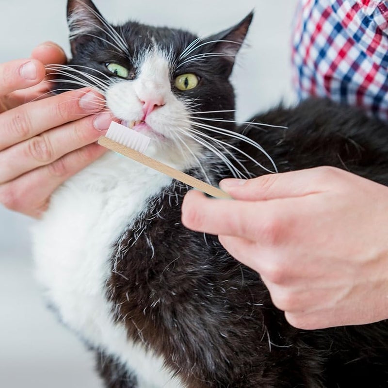 2 قطعة فرشاة أسنان صديقة للبيئة للحيوانات الأليفة ذات رأس مزدوج وشعيرات ناعمة للعناية بأسنان الكلاب والقطط - Image 1