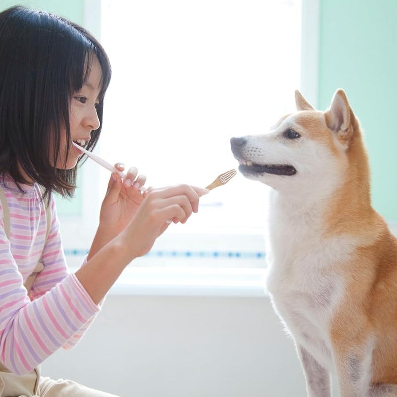 2 قطعة فرشاة أسنان صديقة للبيئة للحيوانات الأليفة ذات رأس مزدوج وشعيرات ناعمة للعناية بأسنان الكلاب والقطط - Image 5