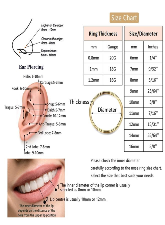 Lantine 20g Nose Rings Hoops Grade 23 Titanium Black Hinged Septum Rings Seamless Clicker Sleeper Cartilage Daith Rook Tragus Helix Piercing Hoop Earrings 8mm - Image 5