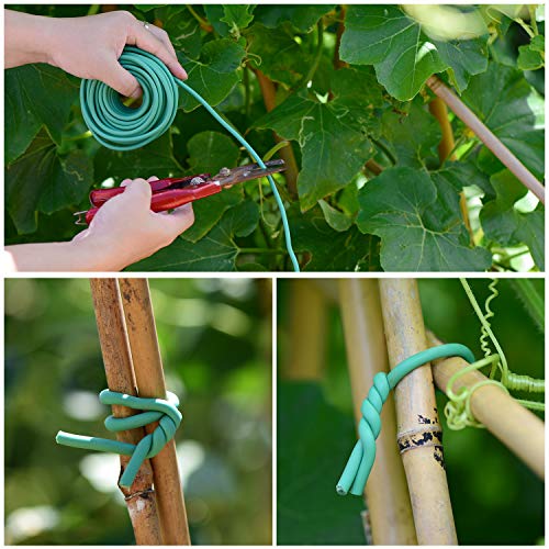 YDSL Soft Plant Tie, Garden Wire Tie for Plants Heavy Duty Reusable Plant Twist Ties for Gardening Home Office (Green, 32.8 feet) - Image 4