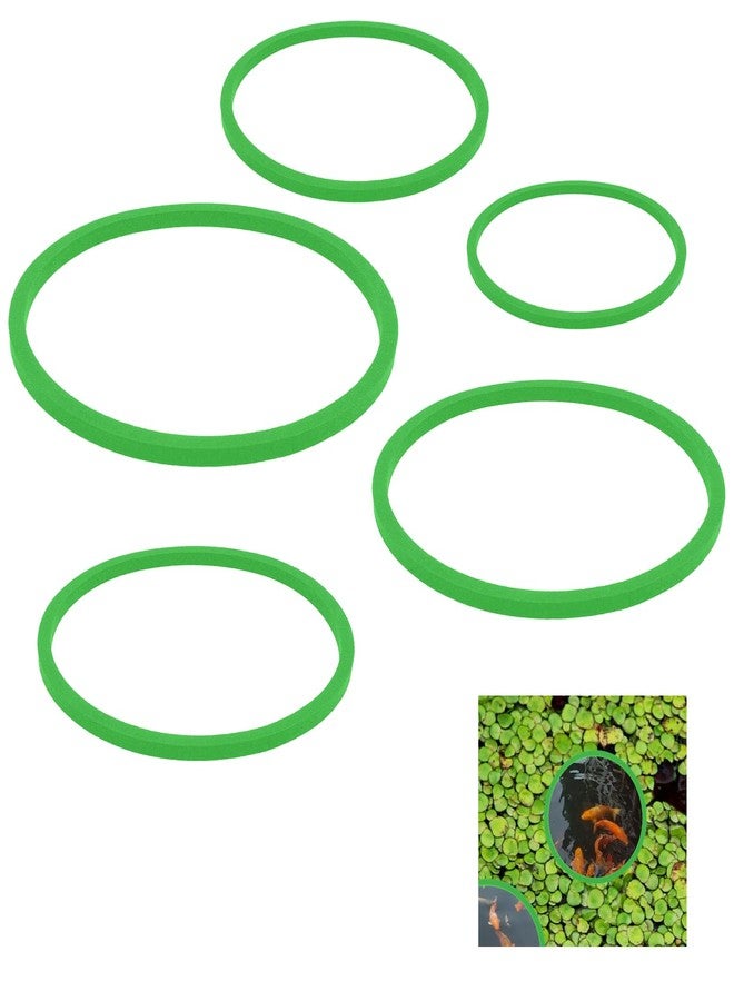 Jeffdad جيفداد، 5 قطع من حلقات النباتات العائمة لأحواض السمك، حلقات تغذية الأسماك المصنوعة من الفوم، حلقات تغذية لأحواض السمك، لاعتراض النباتات العائمة (أخضر) - Image 1