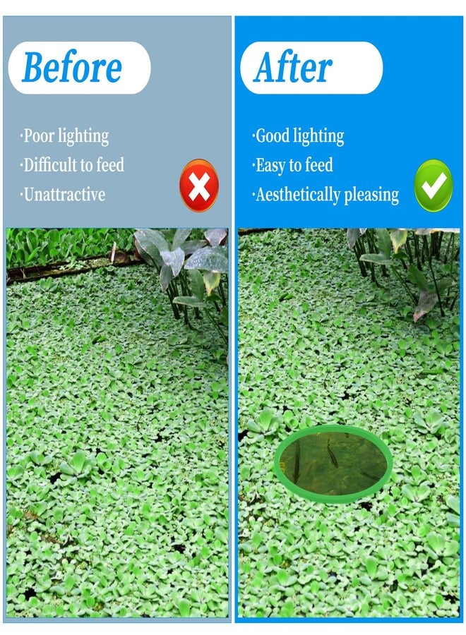 Jeffdad جيفداد، 5 قطع من حلقات النباتات العائمة لأحواض السمك، حلقات تغذية الأسماك المصنوعة من الفوم، حلقات تغذية لأحواض السمك، لاعتراض النباتات العائمة (أخضر) - Image 4