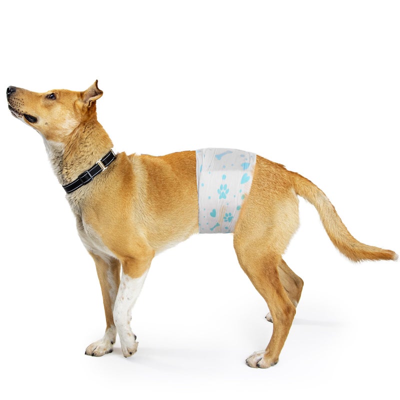 Bestle Male Dog Wrap, Disposable Dog Diapers, 40 Count, L (Waist 23.6â€-31.5â€), Wetness Indicator, Ultra Protection, Leak Proof, Super Absorbent, Soft - Image 3