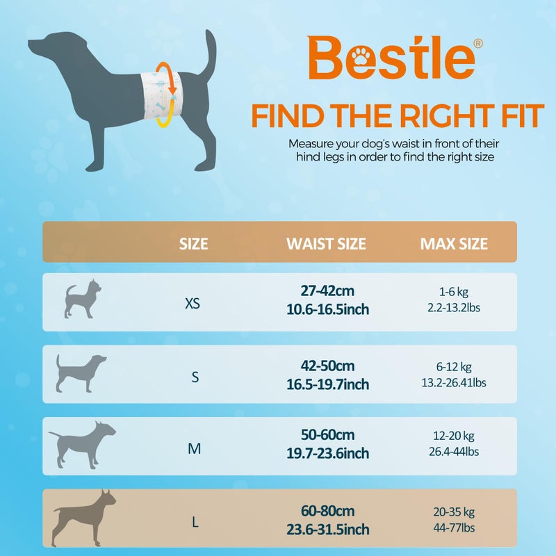 Bestle Male Dog Wrap, Disposable Dog Diapers, 40 Count, L (Waist 23.6â€-31.5â€), Wetness Indicator, Ultra Protection, Leak Proof, Super Absorbent, Soft - Image 2