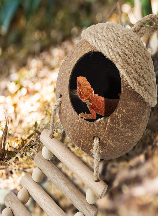 MUYG Lizard Coco Den with Ladder,5PCS Leopard Gecko Tank Accessories Reptile Terrarium Plants Hammock Coconut Hut Hide Hanging Reptile Decor for Crested Gecko,Baby Bearded Dragon,Chameleon,Snake - Image 3