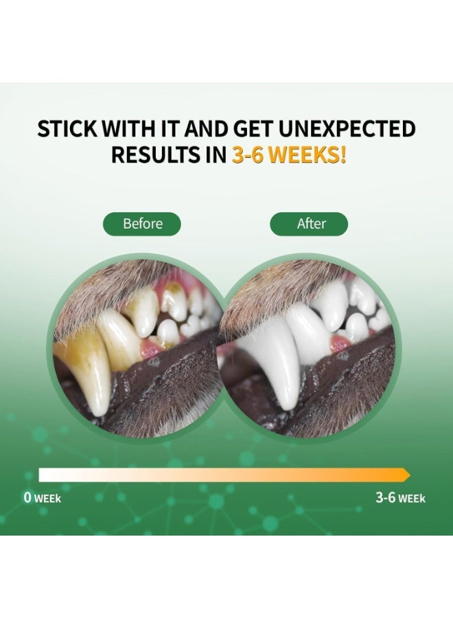 Jellico Pet Teeth Cleaning Powder, Cat Dental Powder, Fresh Breath, Cat Dental Care, Dental Powder Teeth Cleaning, Breath Freshener, Improve Oral & Gastrointestinal Health, Suitable for Large & Small Dogs - Image 5